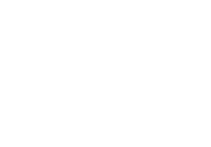 Adriana Calcan — Când cuvintele devin fapte